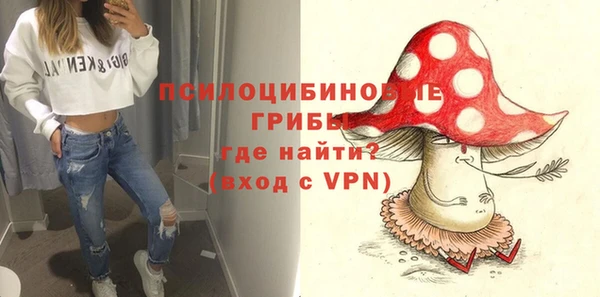 а пвп мука Пестово