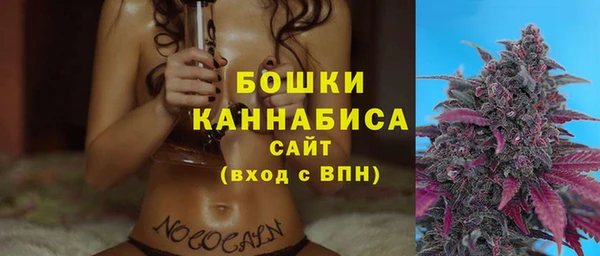 эйфоретик Пересвет