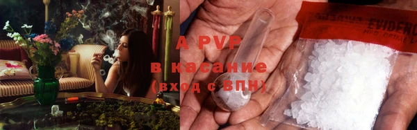 эйфоретик Пересвет