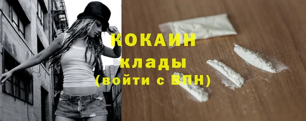 эйфоретик Пересвет