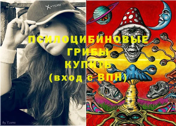 эйфоретик Пересвет