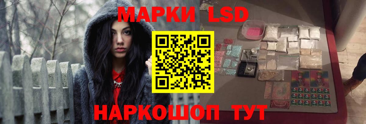 Аргун  блэк спрут как зайти  Вход с VPN  LSD-25 экстази ecstasy  Лсд 25 экстази ecstasy 