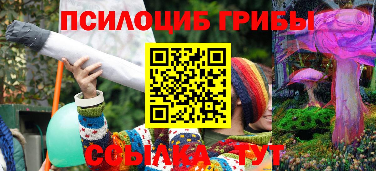 Аргун  хочу   Вход с VPN  Псилоцибиновые грибы ЛСД 