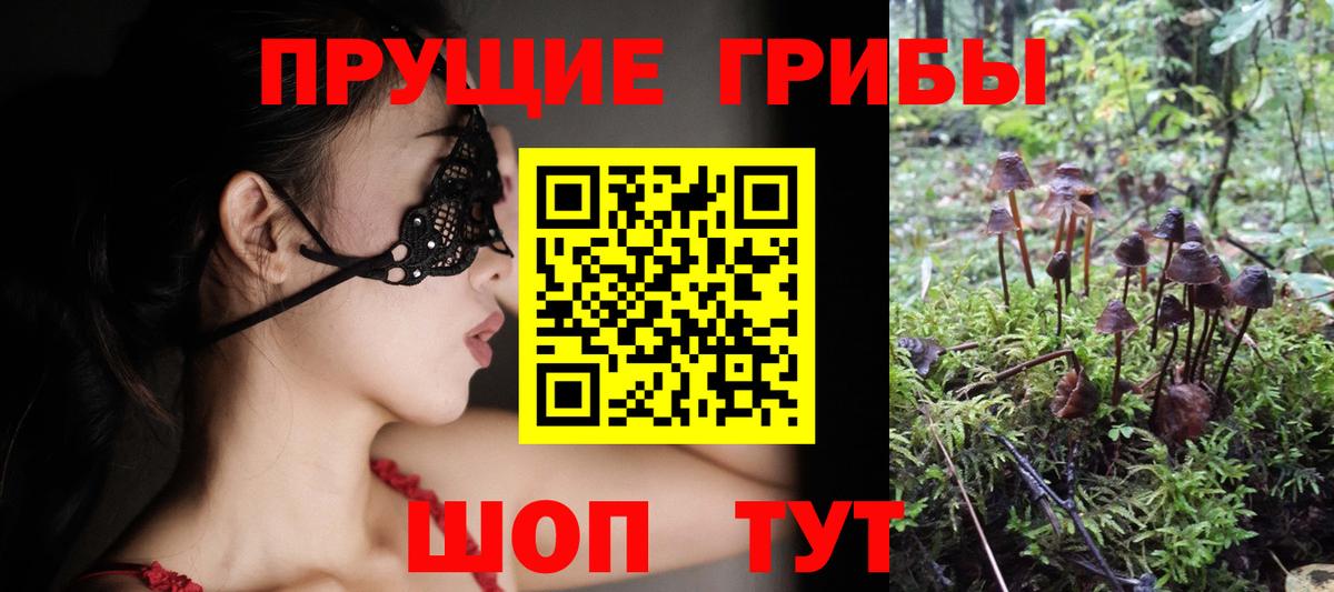 Галлюциногенные грибы ЛСД Аргун