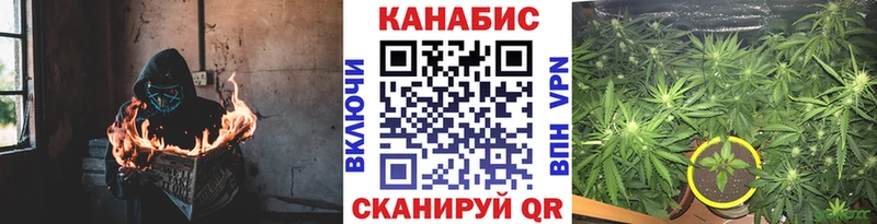 Каннабис планчик  Аргун 