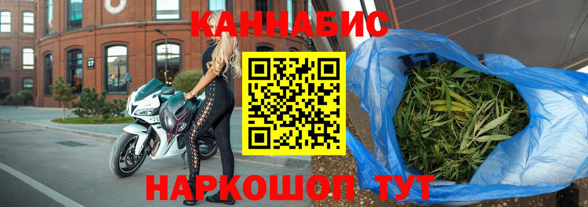 Марихуана гибрид Аргун