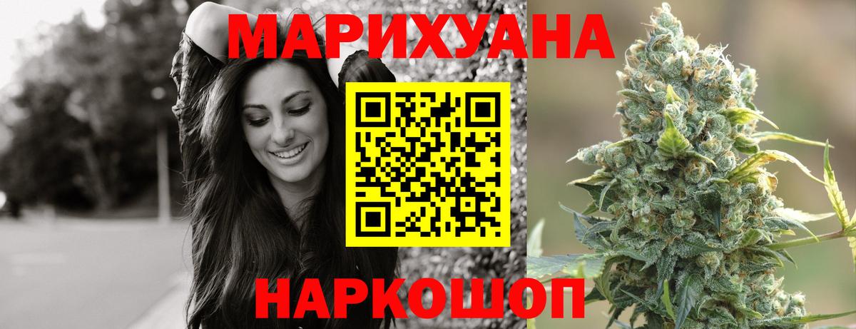 Конопля конопля  Каннабис план  Марихуана гибрид  Аргун 